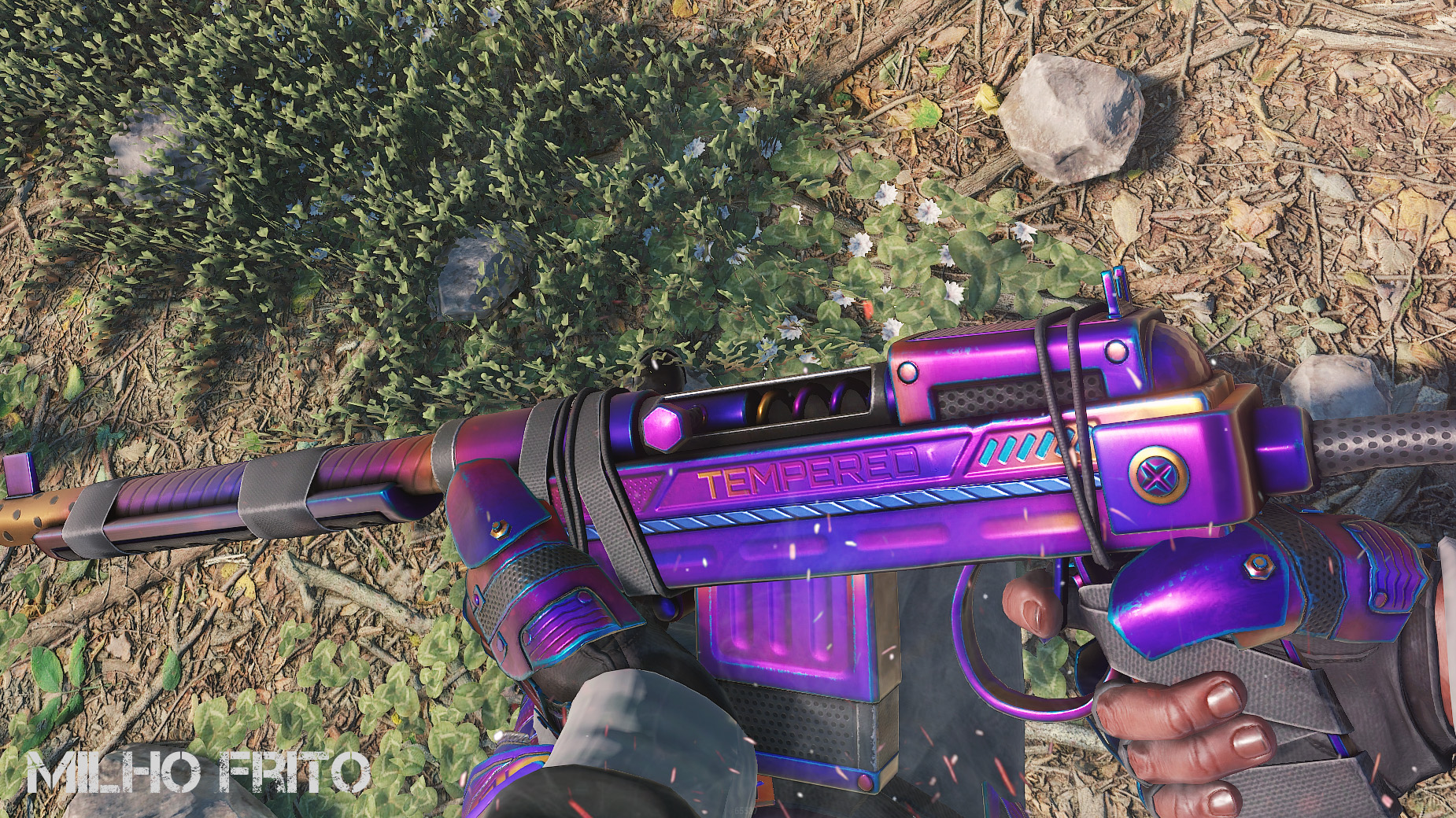 Tempered SAR thumbnail 3