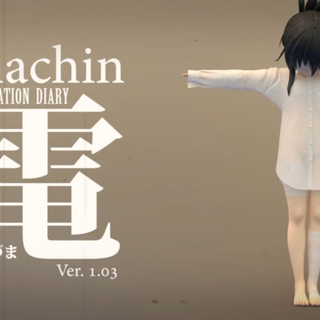 Inachin: observation diary