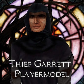 the master thief garrett eye