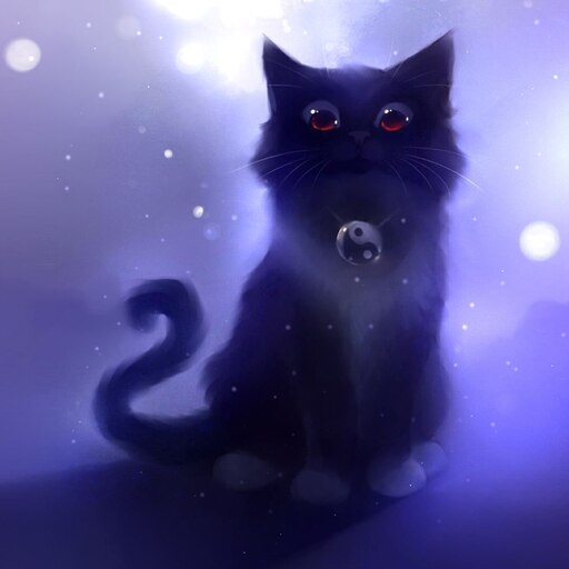 Котики фото арт Котики фото арт