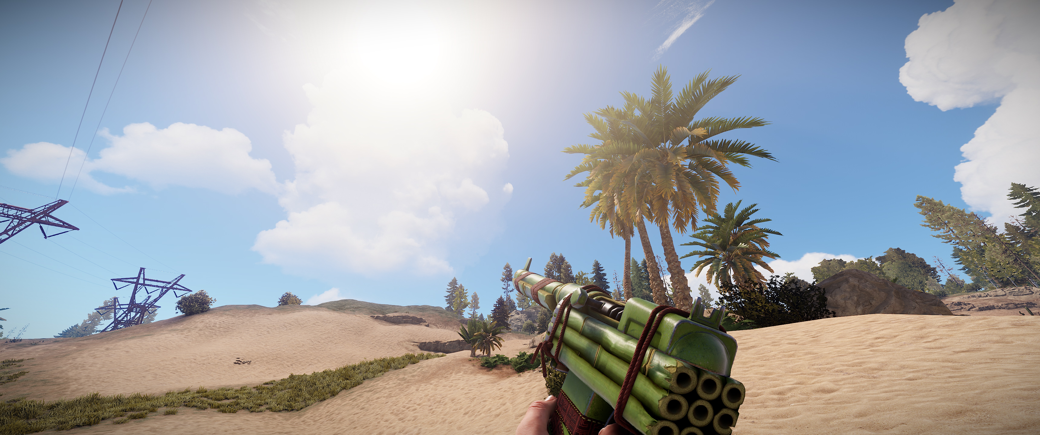 Bamboo SAR thumbnail 3