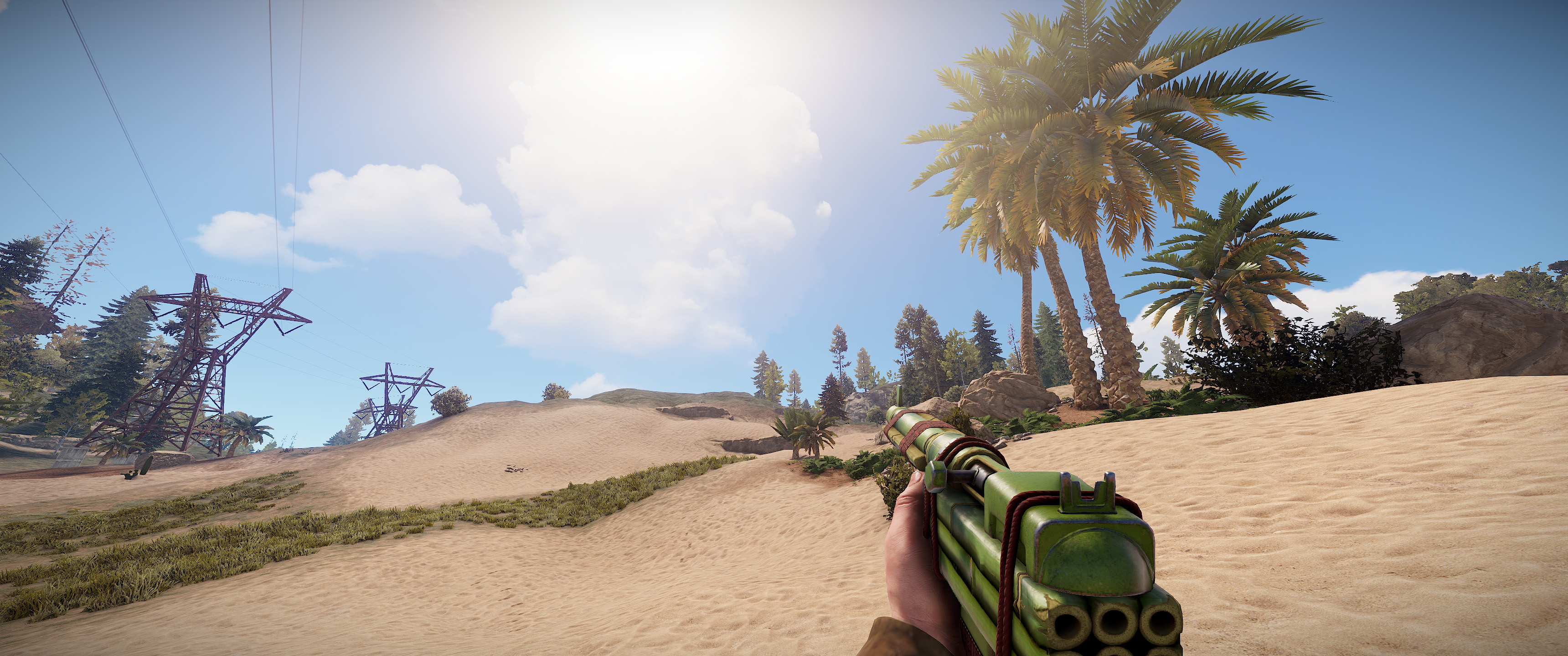 Bamboo SAR thumbnail 8