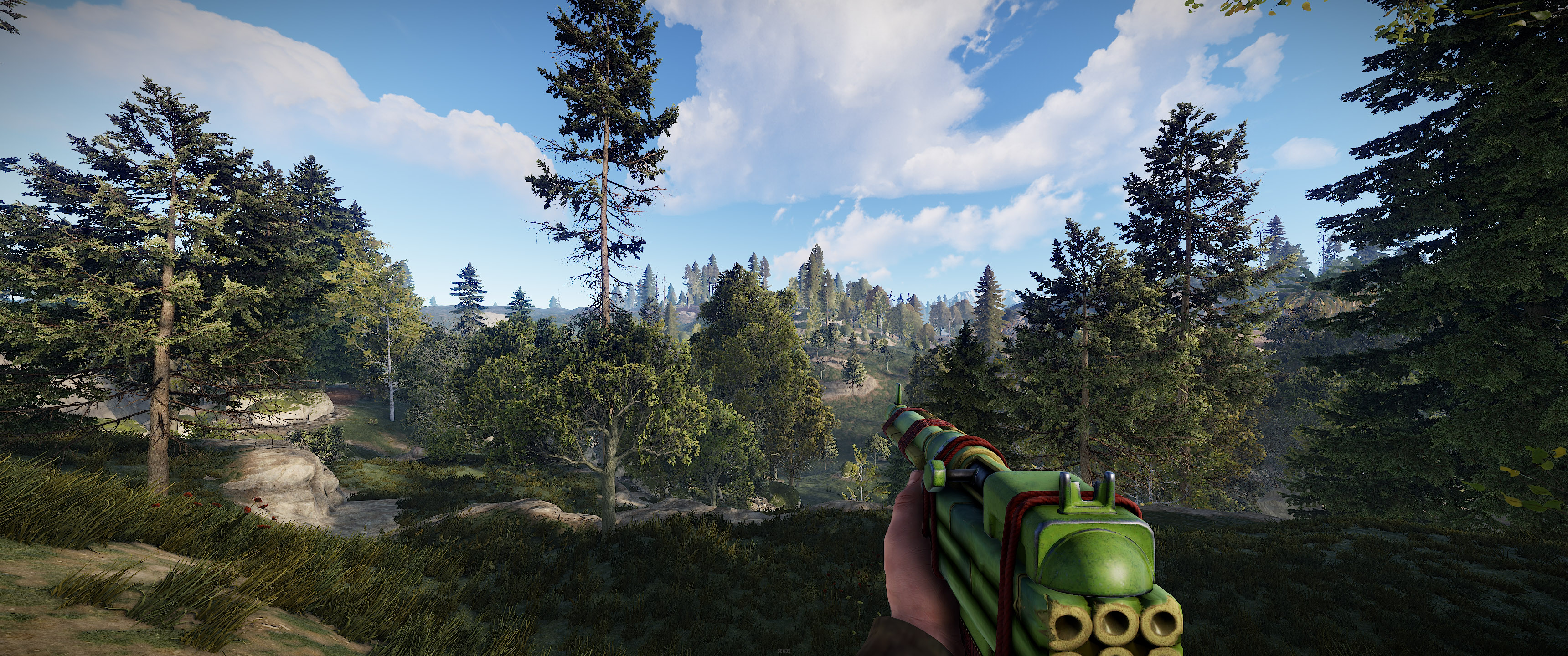 Bamboo SAR thumbnail 4