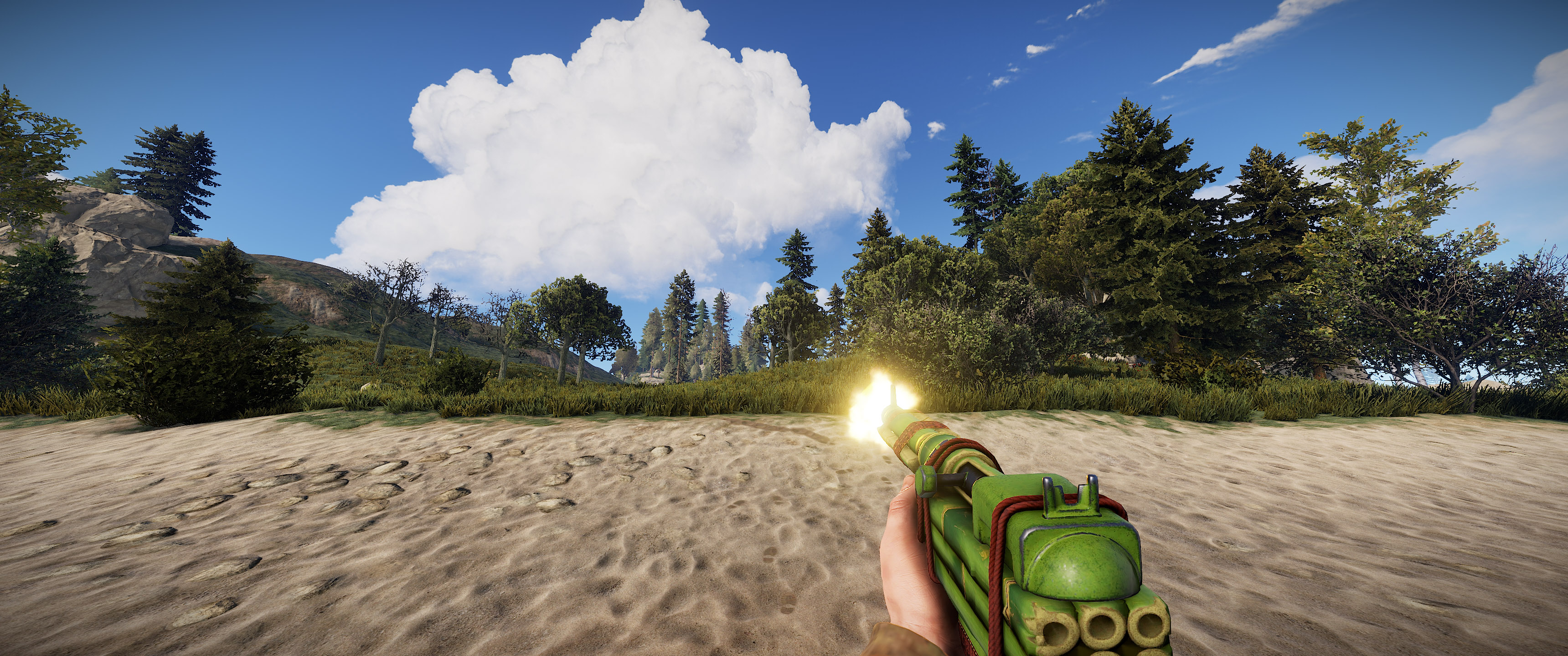Bamboo SAR thumbnail 12
