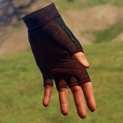 Black Alligator thumbnail 7