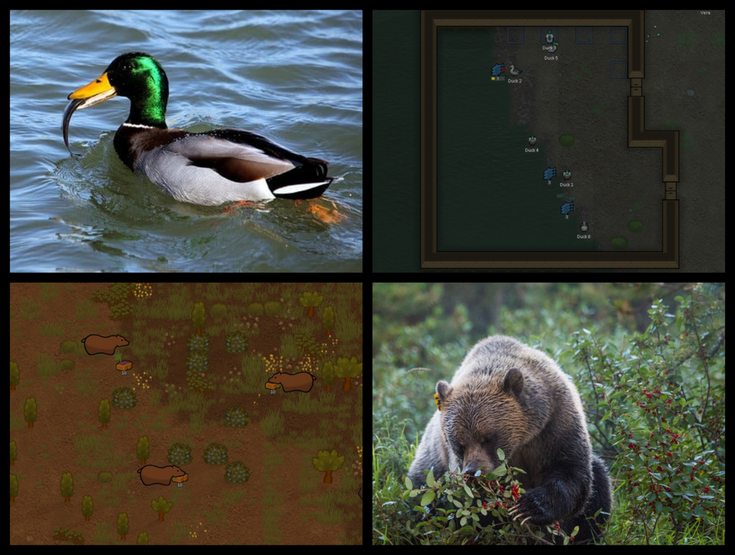 Steam Workshop::Animals Forage