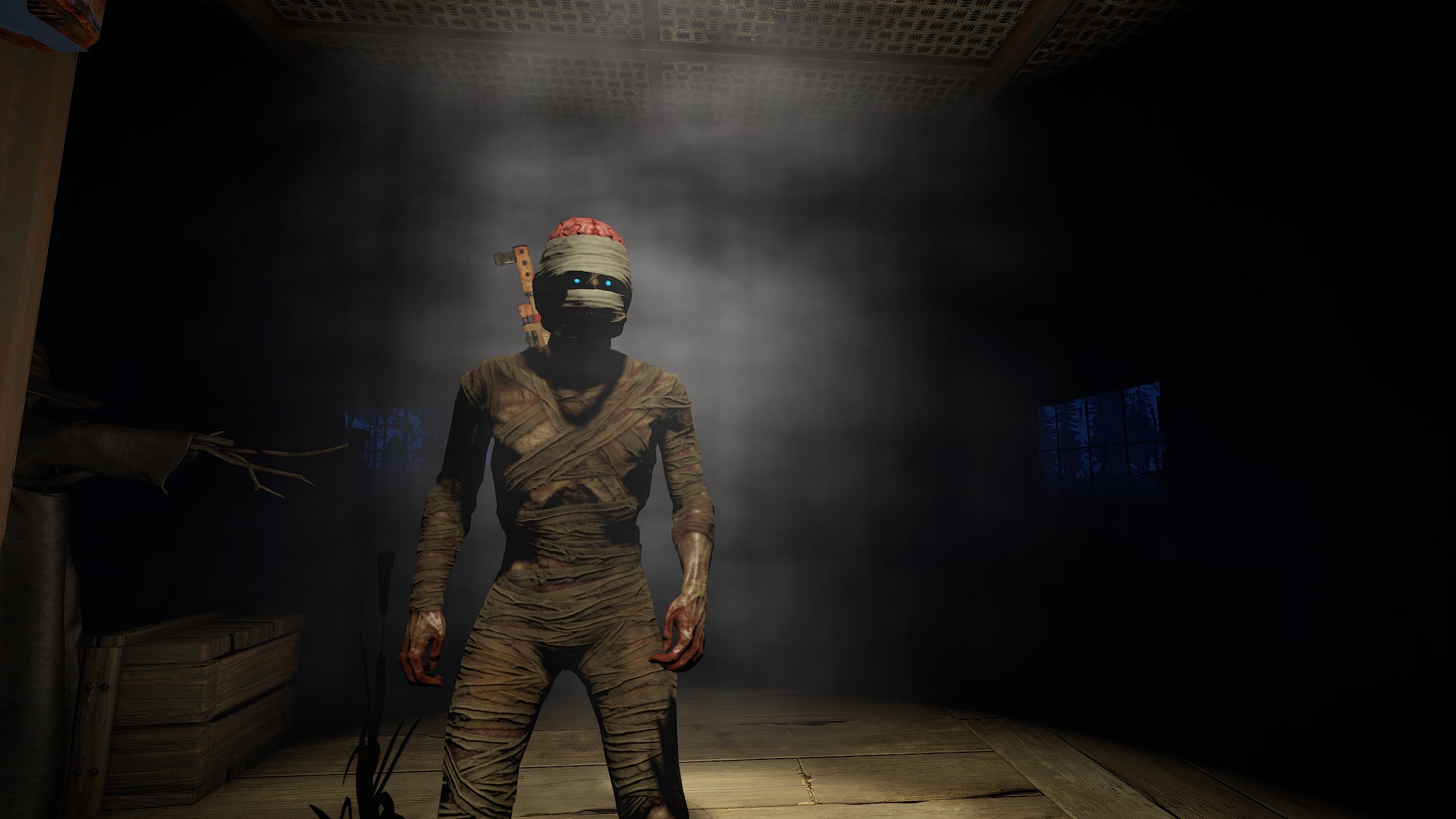 Wrapped Brain thumbnail 3