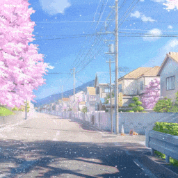 Cherry Blossom in Japan