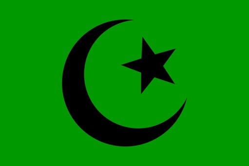 Фатимидский халифат флаг