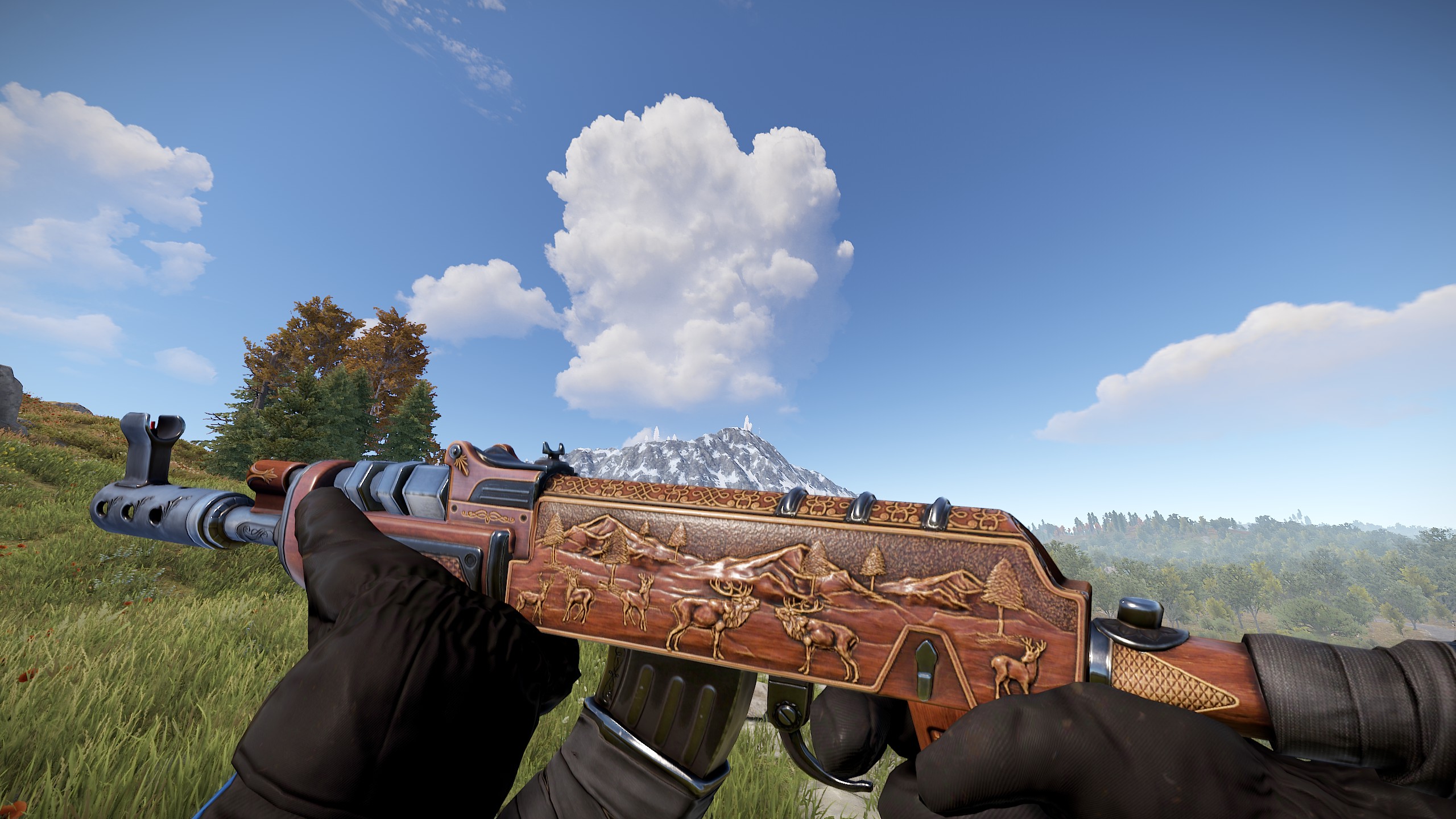 Hunting Assault Rifle thumbnail 4