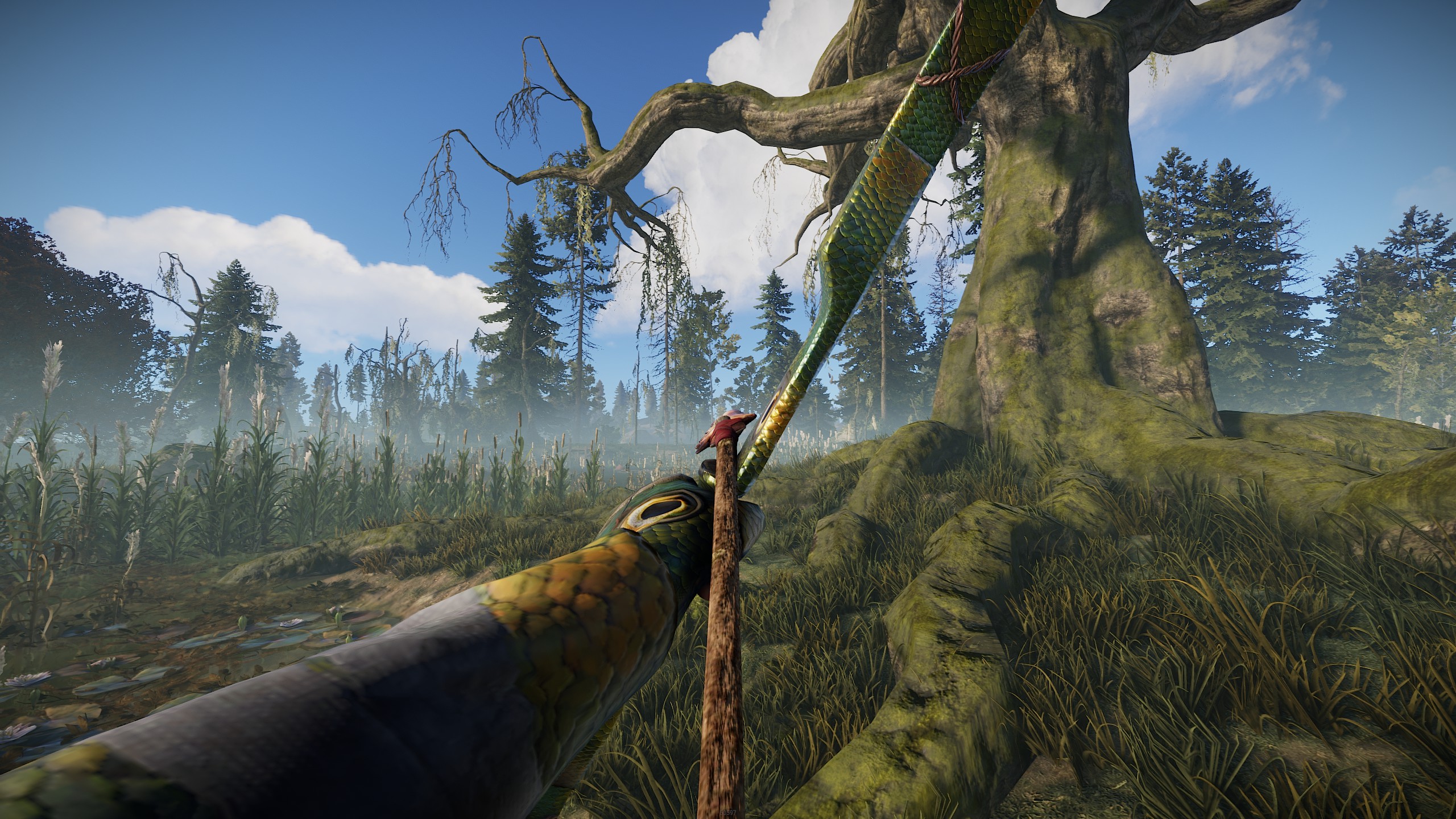 Fish Bow thumbnail 12