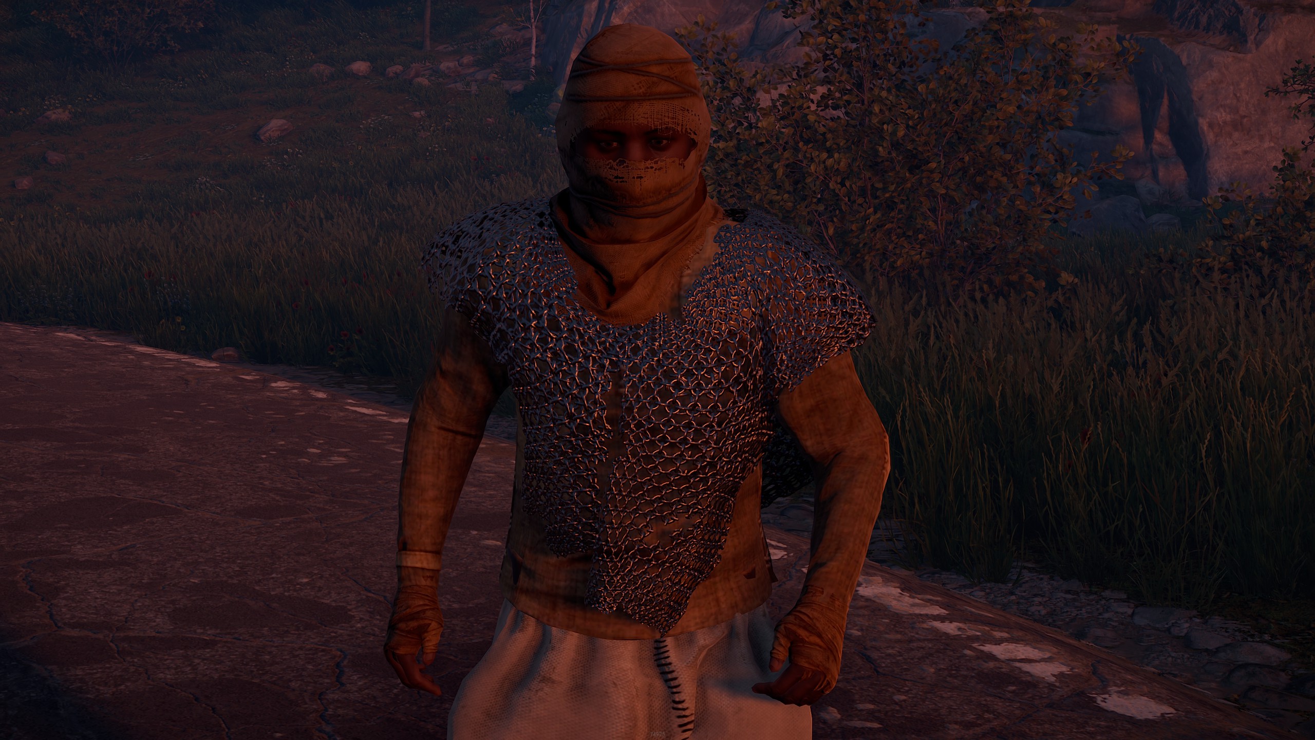 Chainmail Poncho thumbnail 6