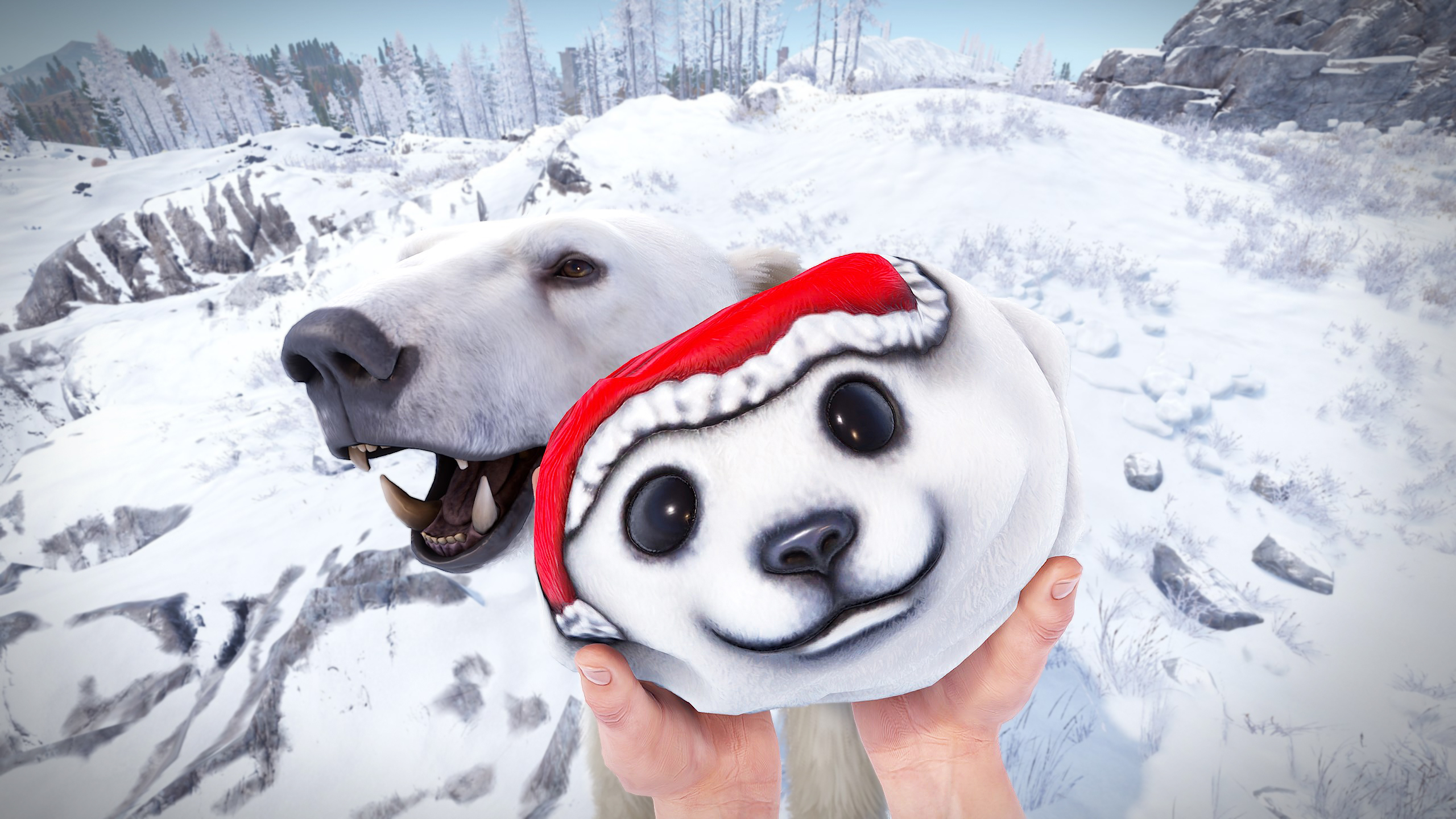 Polar Bear Rock thumbnail 8