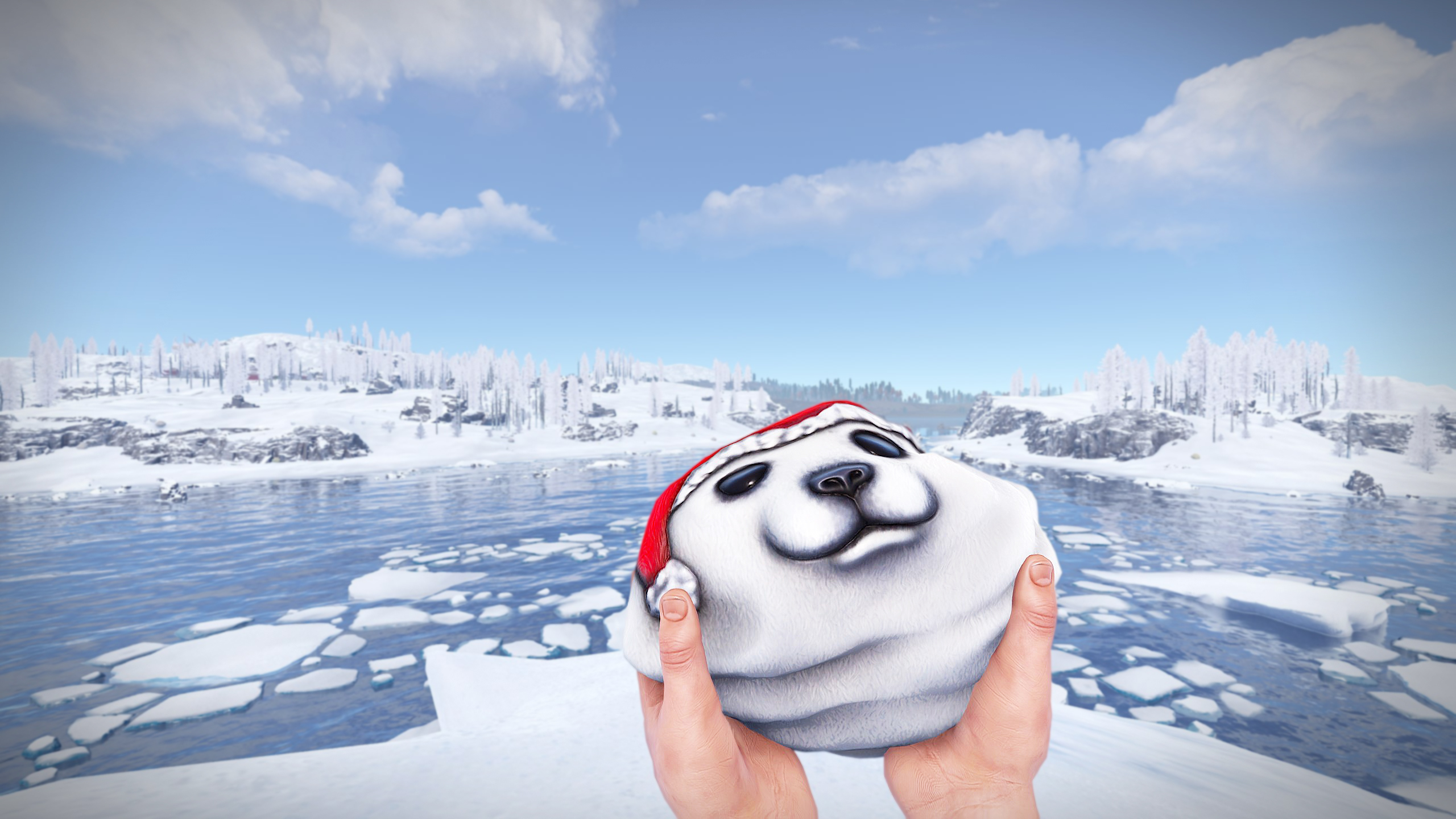 Polar Bear Rock thumbnail 9