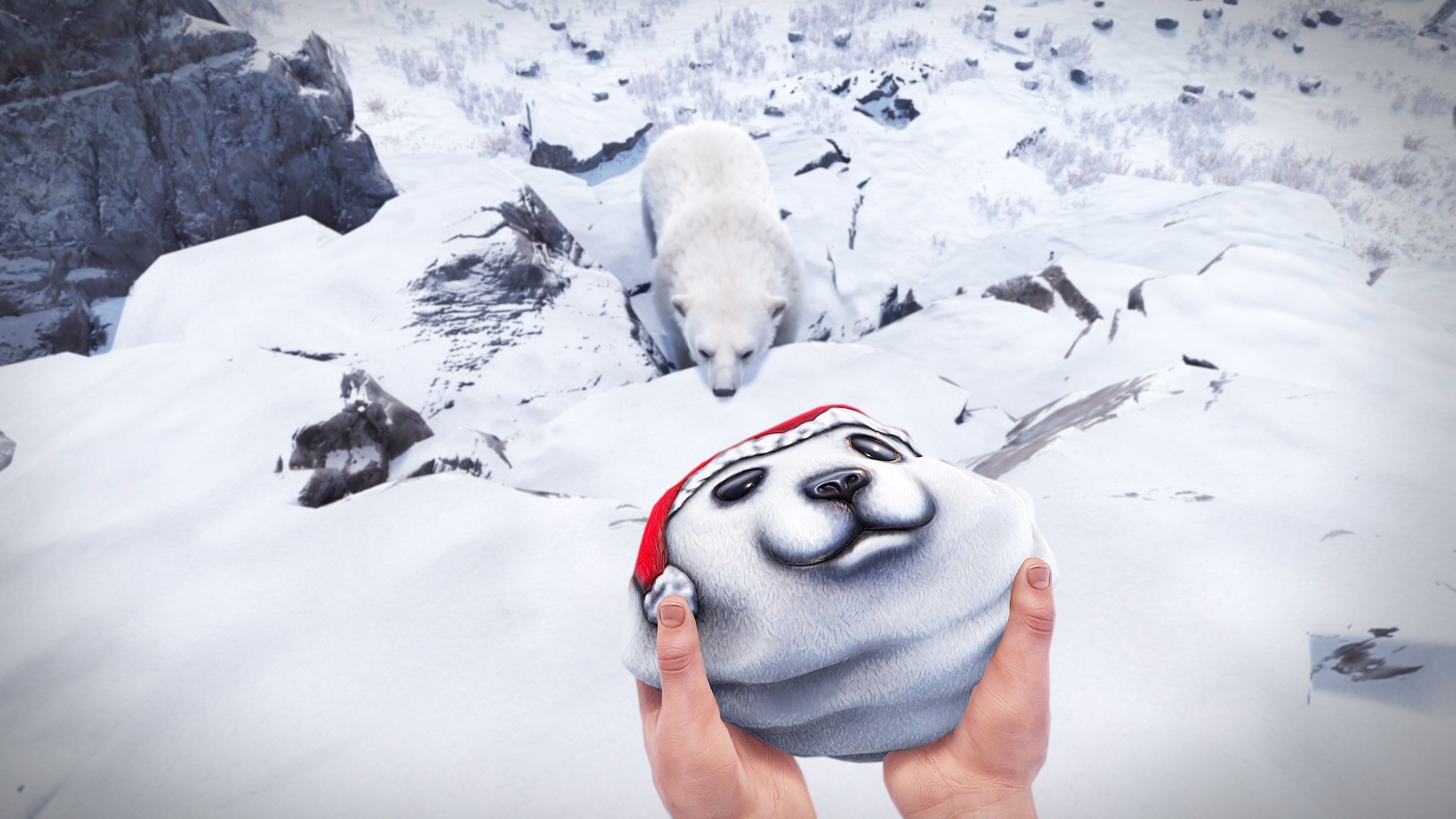 Polar Bear Rock thumbnail 7