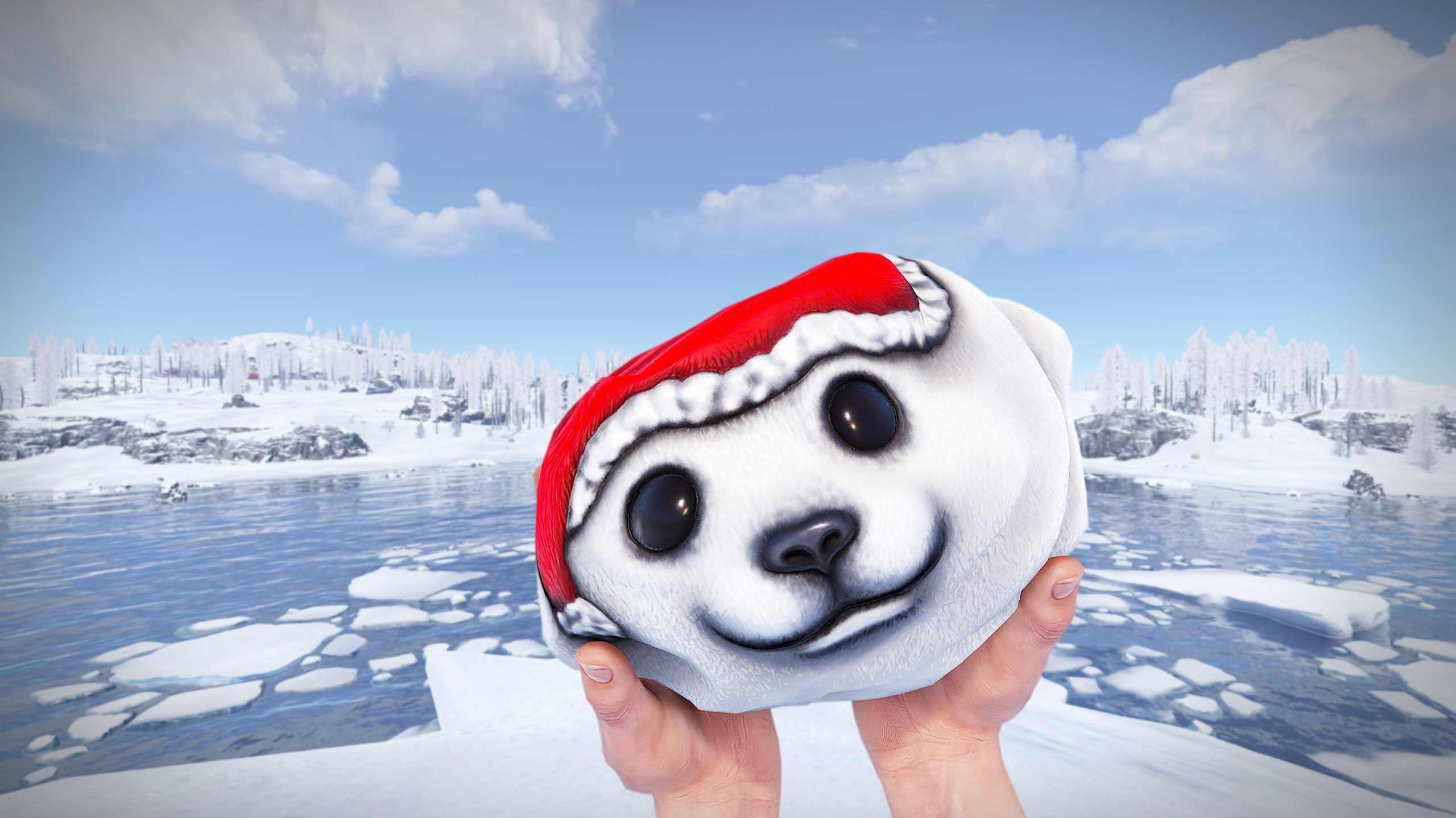 Polar Bear Rock thumbnail 10