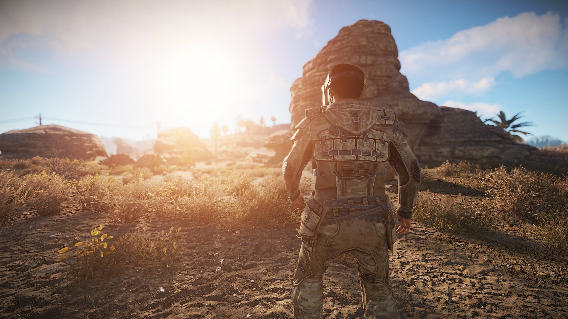 Desert Raiders Roadsign Vest thumbnail 8