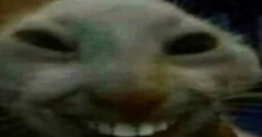 Мем кот улыбается с зубами Мем кот улыбается с зубами