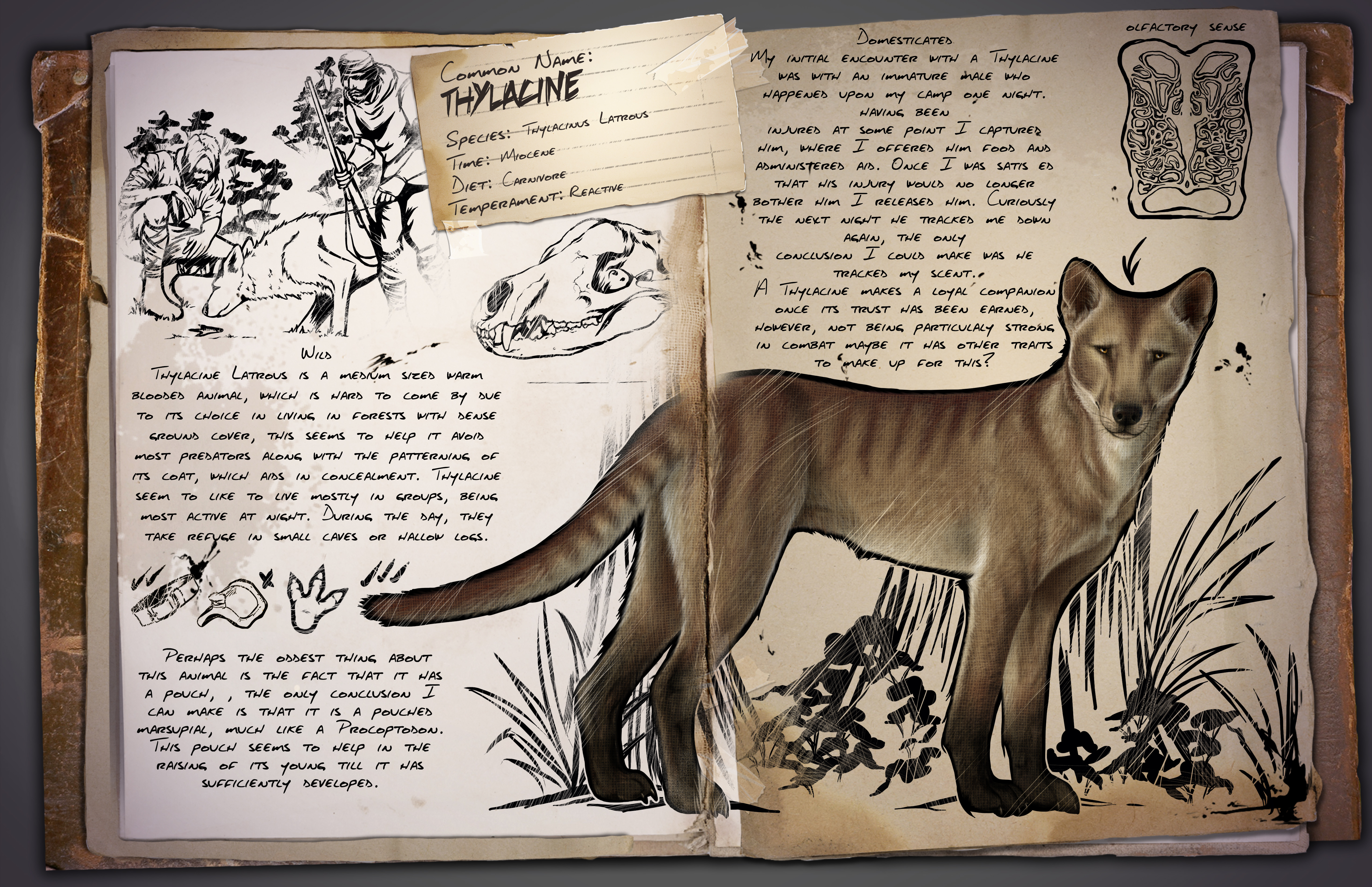 Steam общност :: :: Thylacine