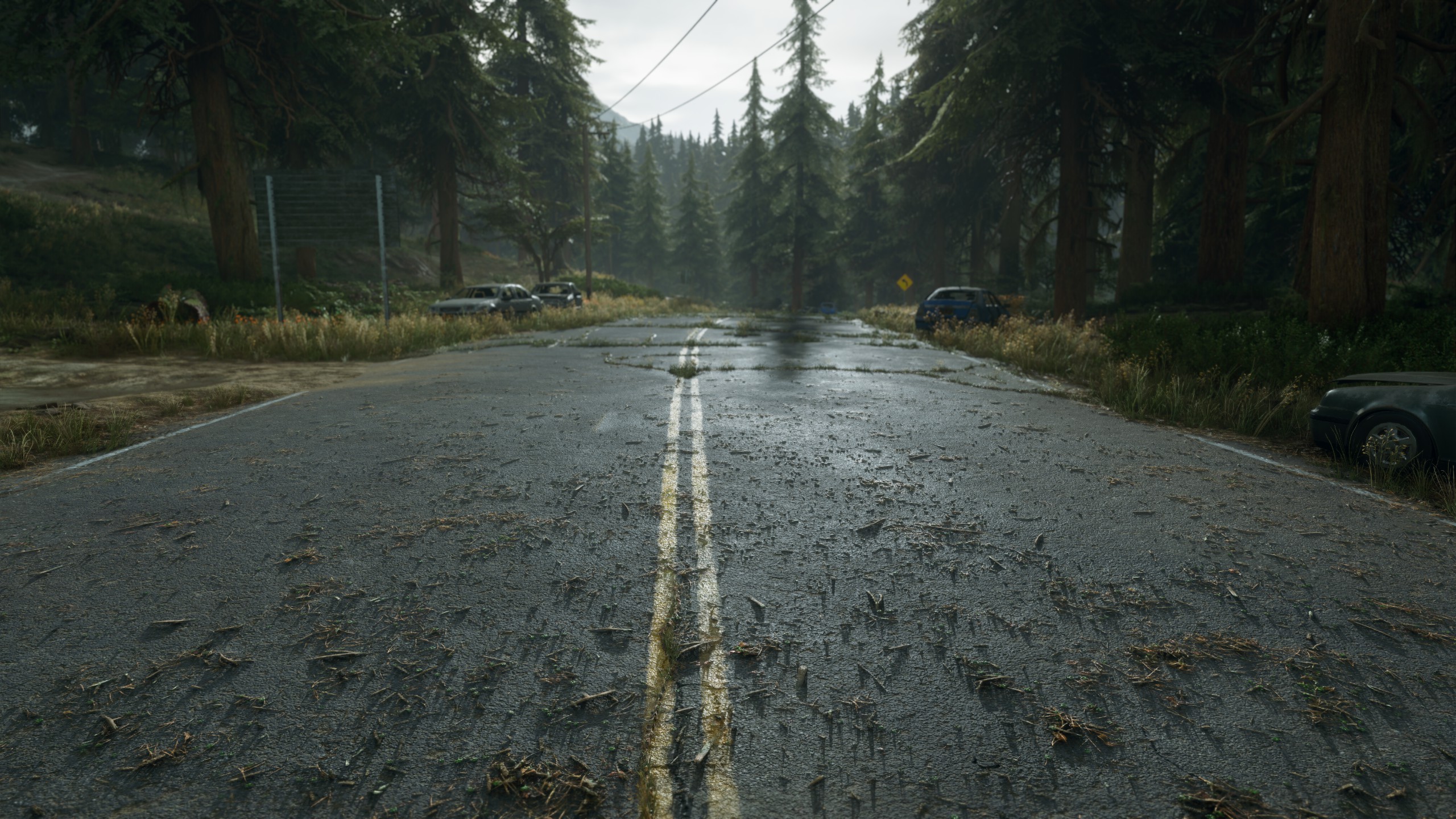 Скриншот игрового процесса Days Gone