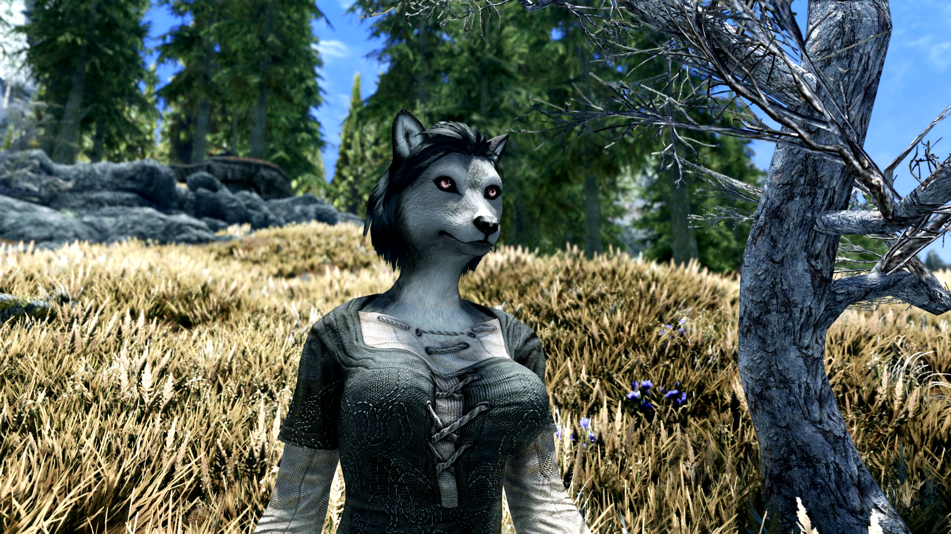 Steam Community :: Guide :: Skyrim: Furry Edition (Super Outdated)