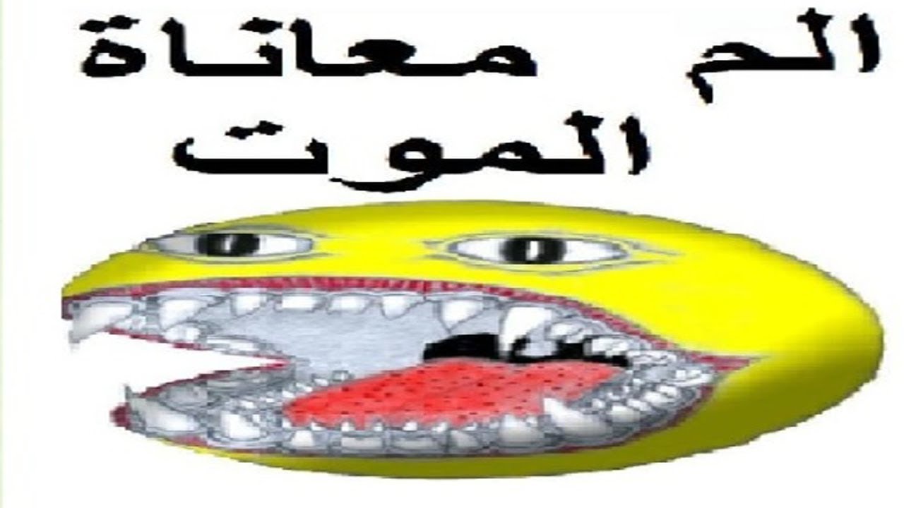 Funny arabic memes
