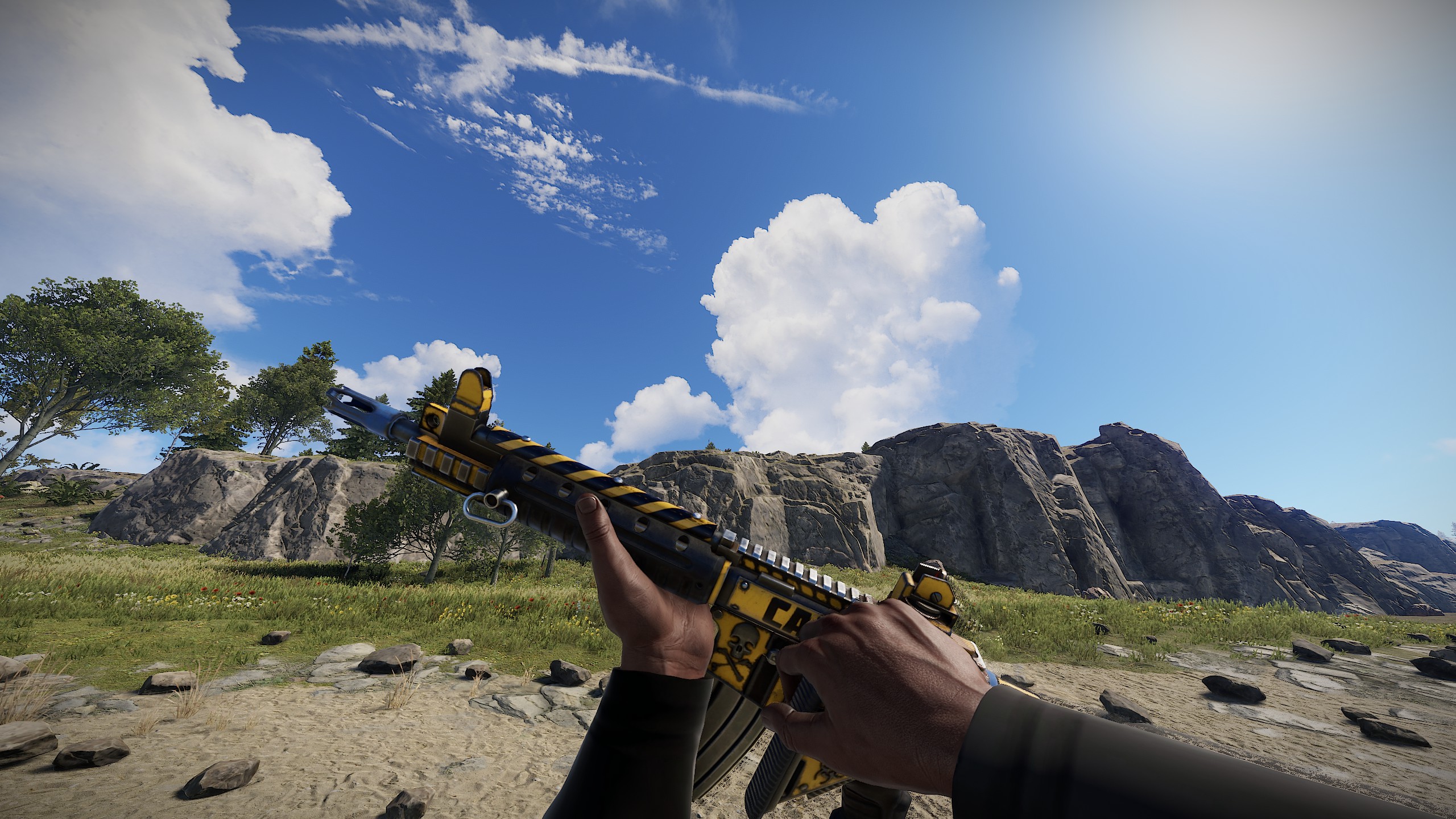 Caution LR thumbnail 5