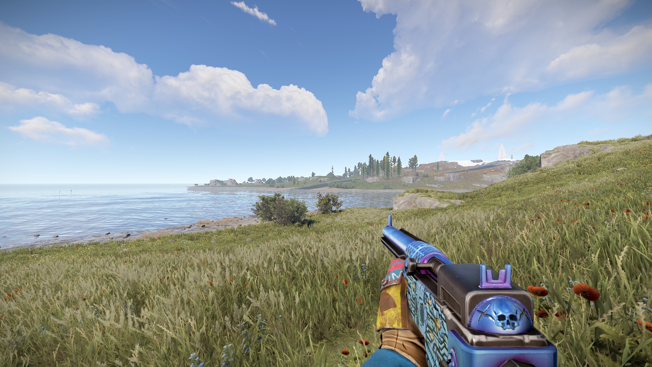 Skullkiller SAR thumbnail 3