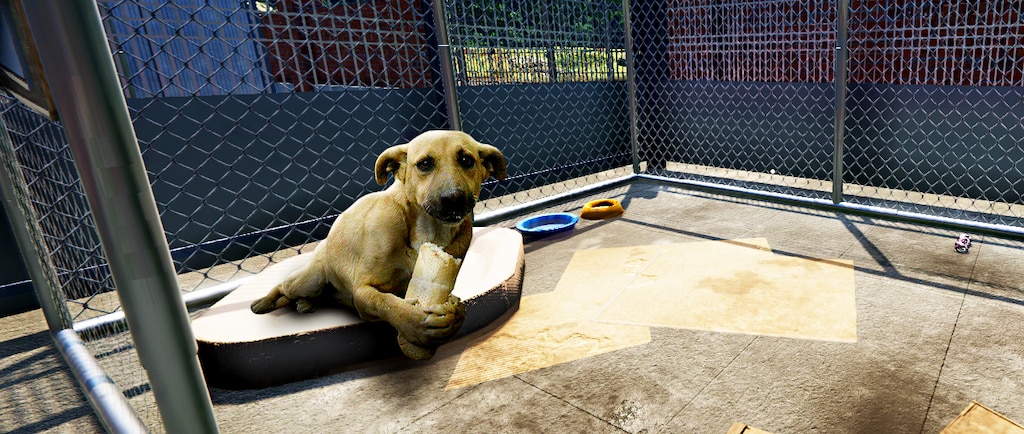 Steam Community :: Animal Shelter