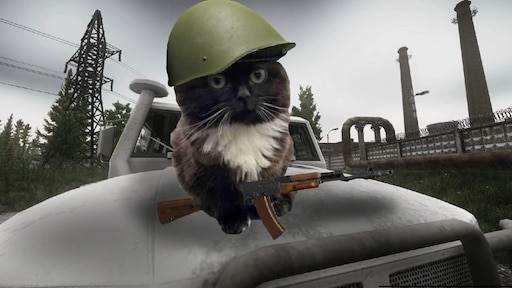 Мем с котом в каске Мем с котом в каске