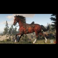 Ardennes  RDR2 Horse Breeds Coats, Locations & Stats