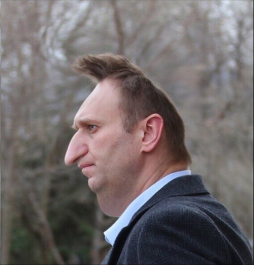Кривой лоб. Навальный в профиль.