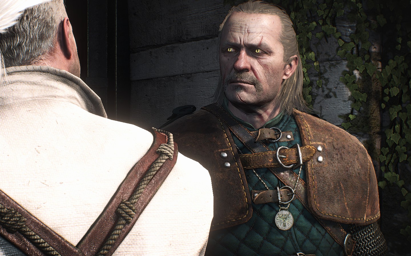 Lore-Friendly Witchers Mod , Lore Friendly Eyes at The Witcher 3 Nexus ...