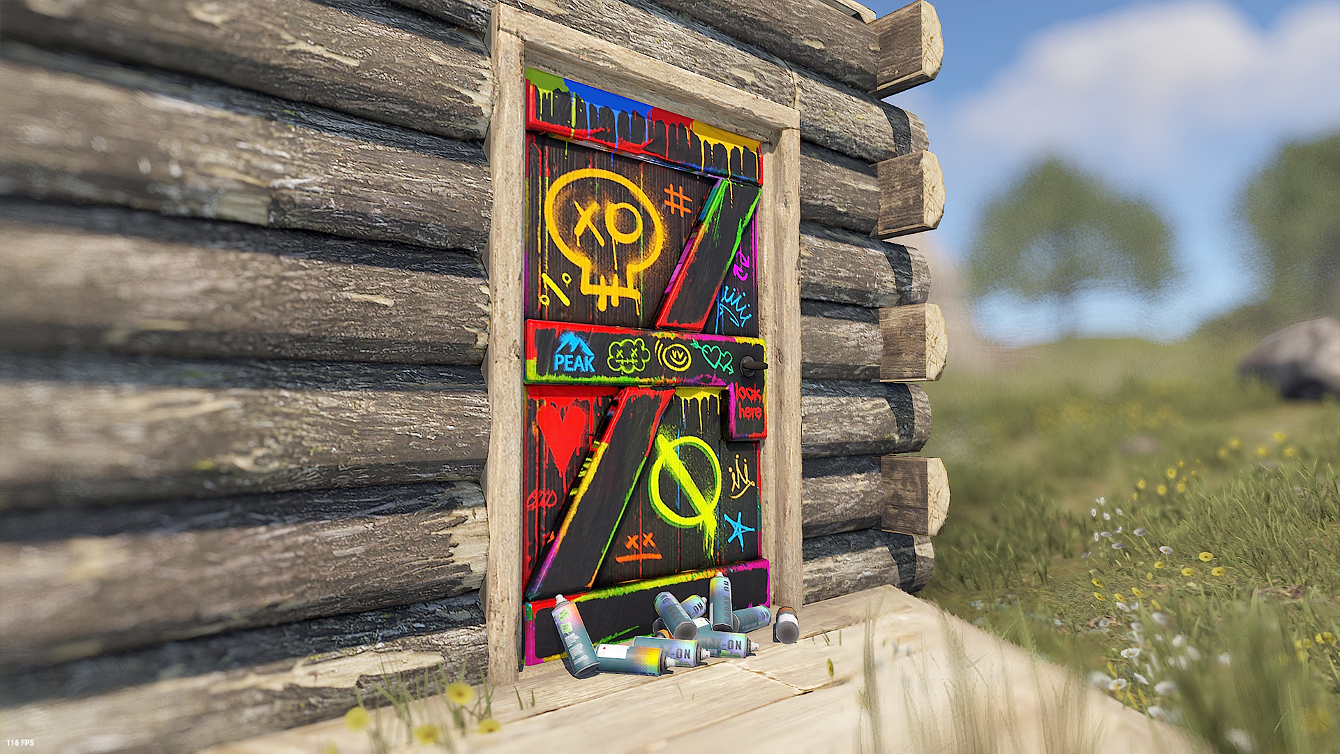 Spraycan Wooden Door thumbnail 7