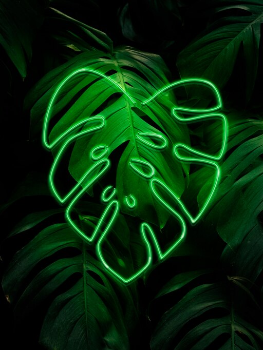 Зеленые неоновые фото Зеленые неоновые фото