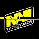 Navi (NAVI) Официальная группа Steam