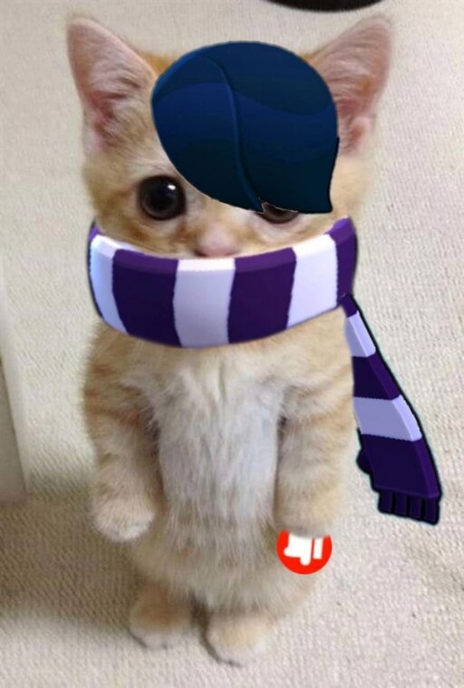 Авы с котами мемы Авы с котами мемы