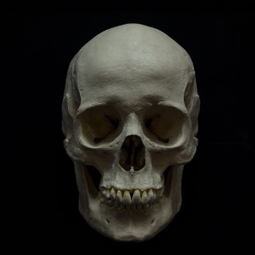 Как умерла арина глазунова фото черепа Как умерла арина глазунова фото черепа