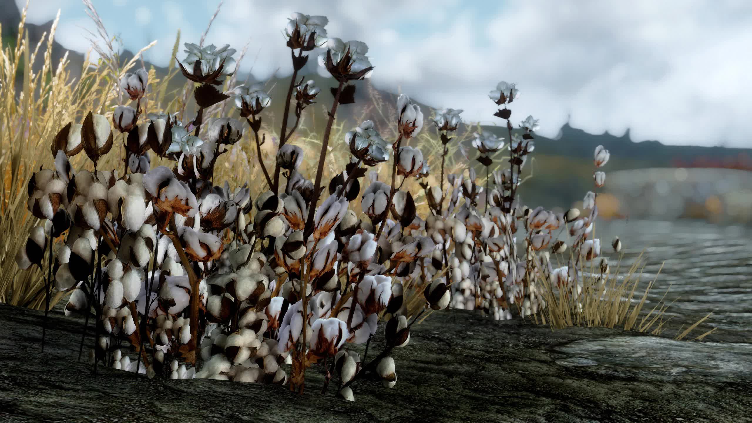 Skyrim tundra cotton id