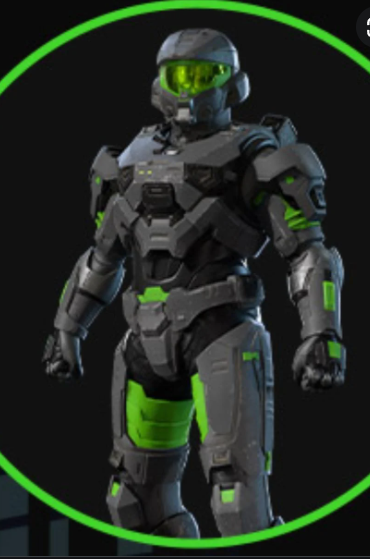 Promotional Armor Coatings and Weapon Skins image 2