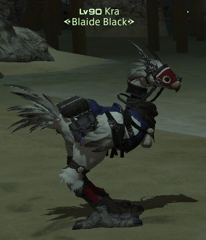 The Ultimate Chocobo Guide image 18