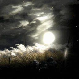 Sekiro (Battlefield)