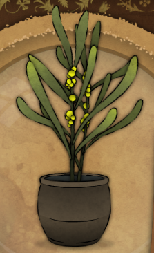 Plant Game image 186