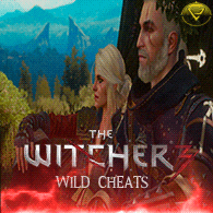 The Witcher Enhanced Edition - Developer Console Activator at The Witcher  Nexus - mods and community