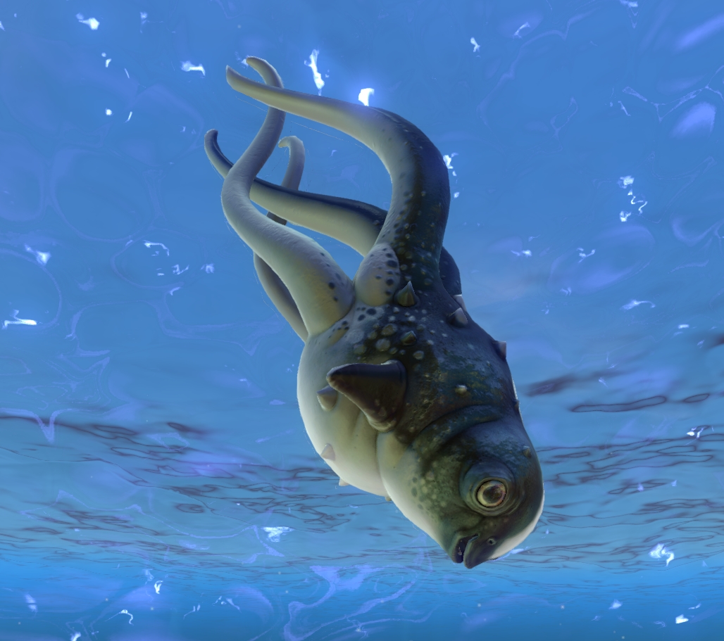 Рыба камикадзе. Subnautica милая рыба. Камикадзе Subnautica. Рыба ласка Subnautica. Рыба камикадзе Subnautica