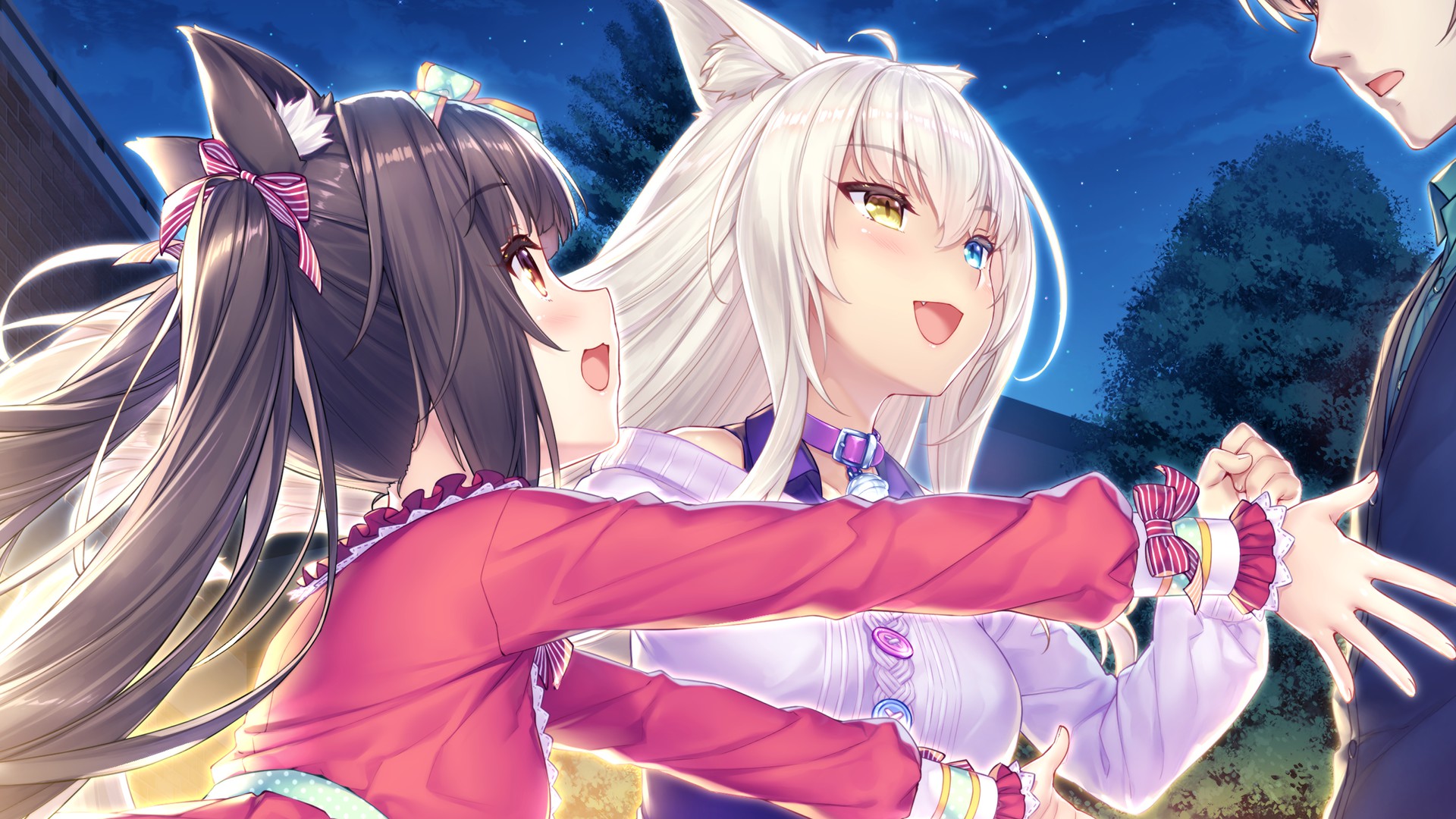 VISUAL NOVEL