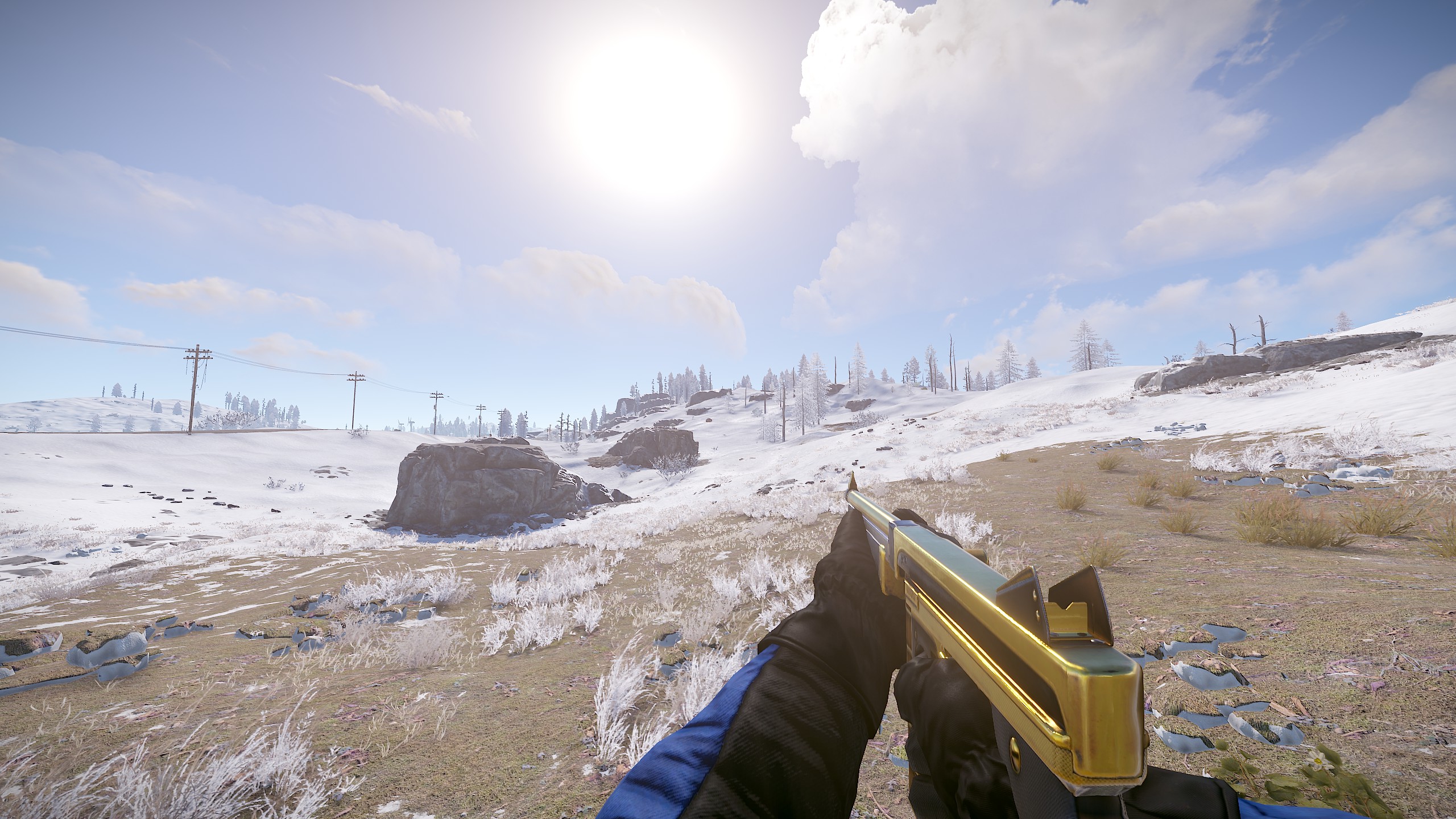 Black Gold Thompson thumbnail 3