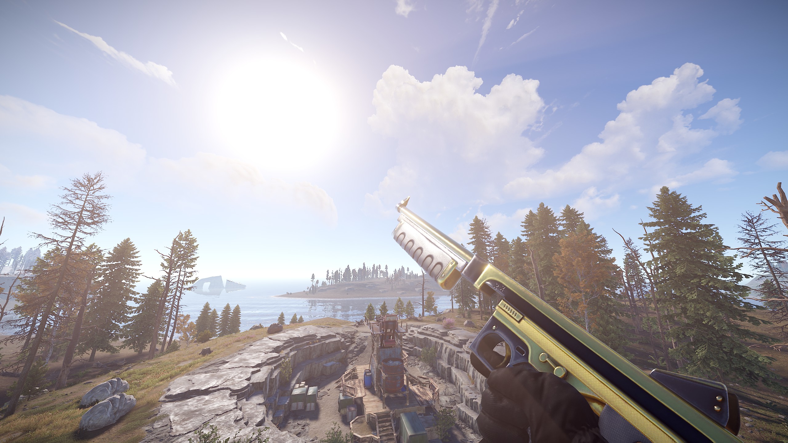 Black Gold Thompson thumbnail 6