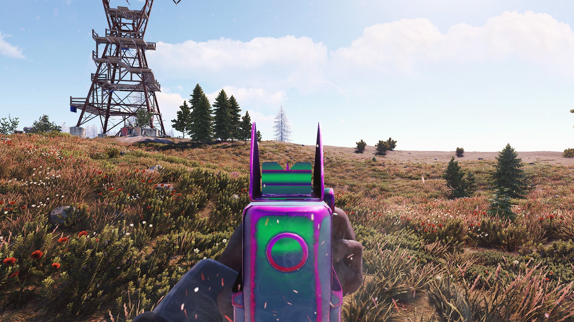 Chameleon Thompson thumbnail 8