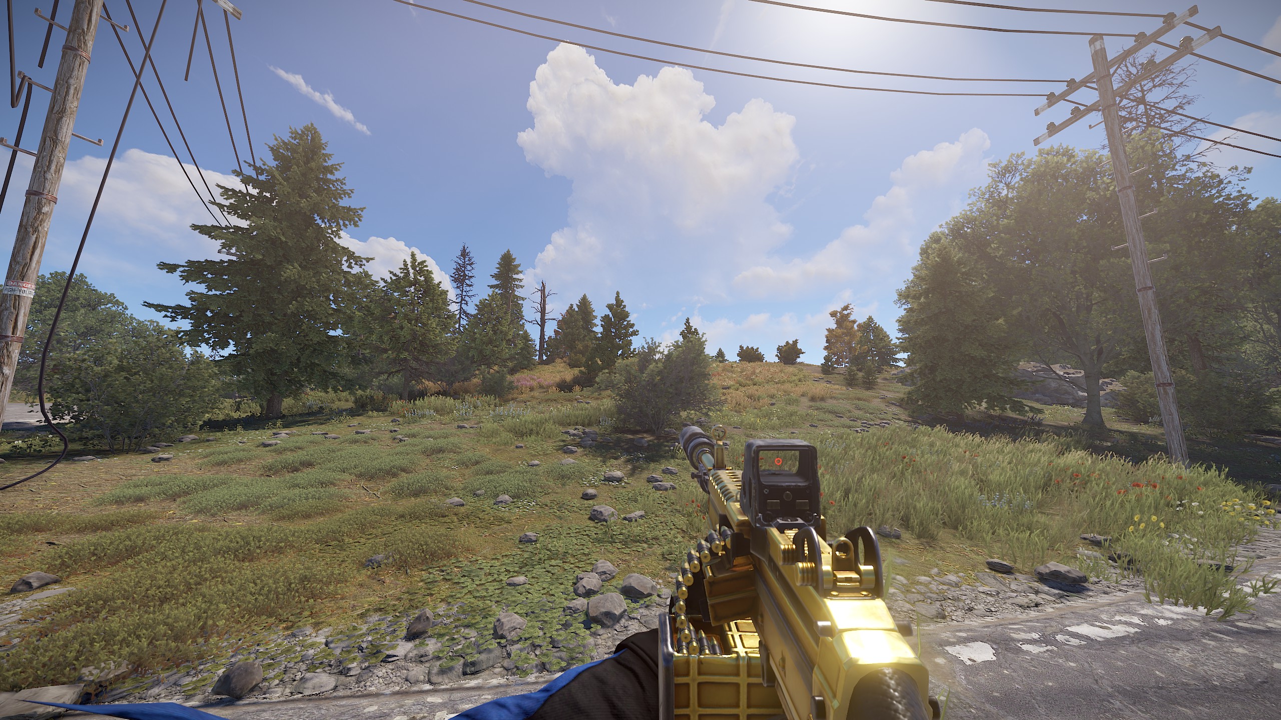 Black Gold M249 thumbnail 7
